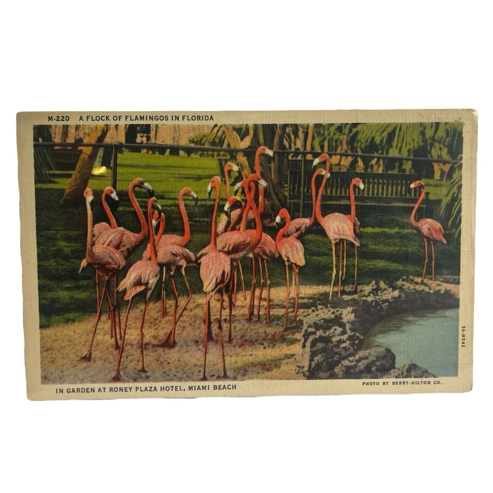Flock of Flamingos Roney Plaza Hotel Miami Beach FL‎ Vintage Linen Postcard